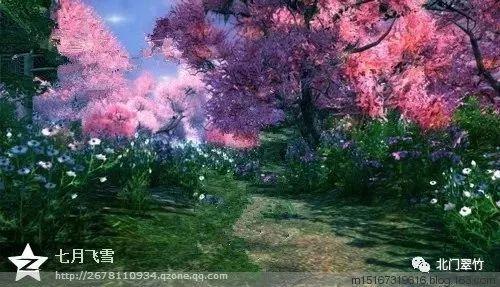 沙苑子传说